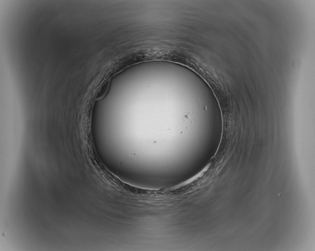 X0000116291153200912071205