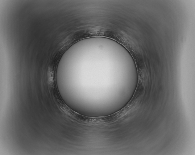 X0000116291154200912071205