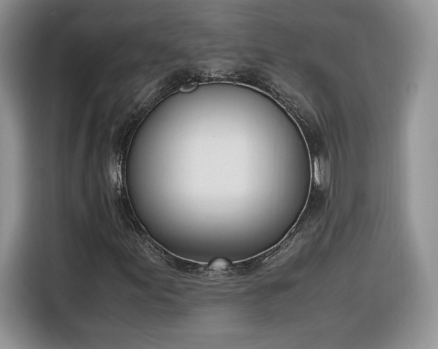 X0000116291155200912071205