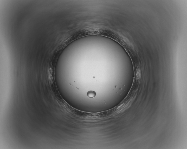 X0000116291156200912071205