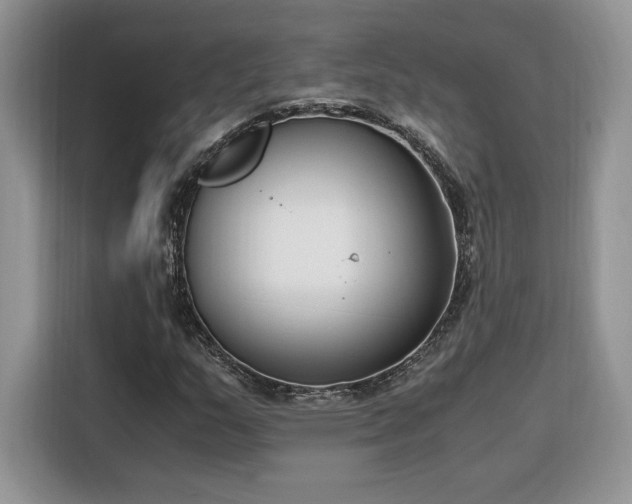 X0000116291159200912071205