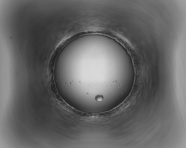 X0000116291160200912071205