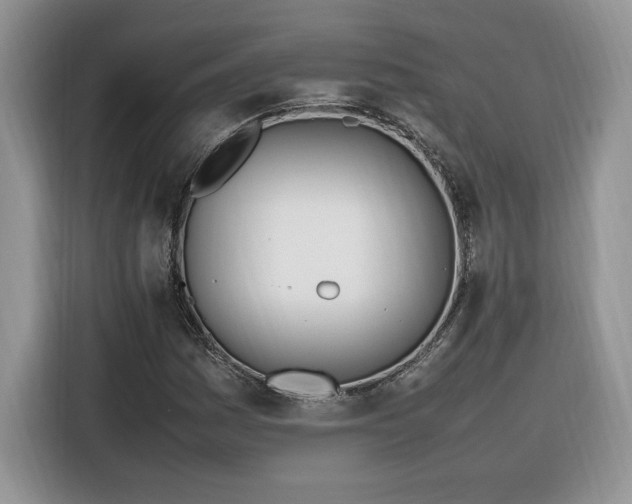 X0000116291161200912071205