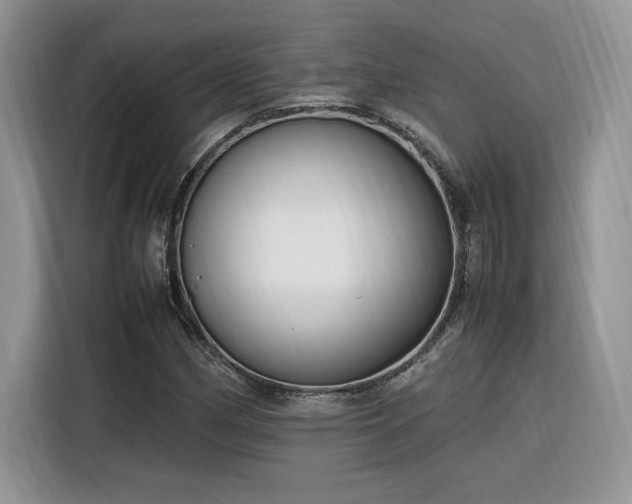 X0000116291162200912071205