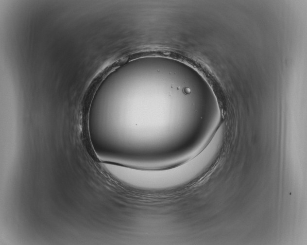 X0000116291165200912071205