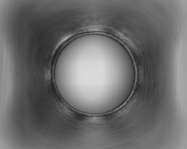 X0000116291166200912071205