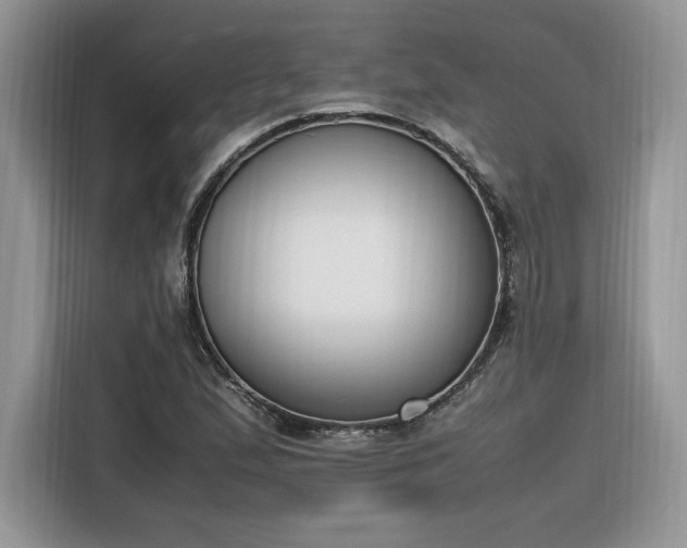 X0000116291167200912071205