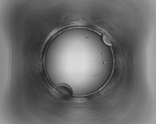 X0000116291168200912071205