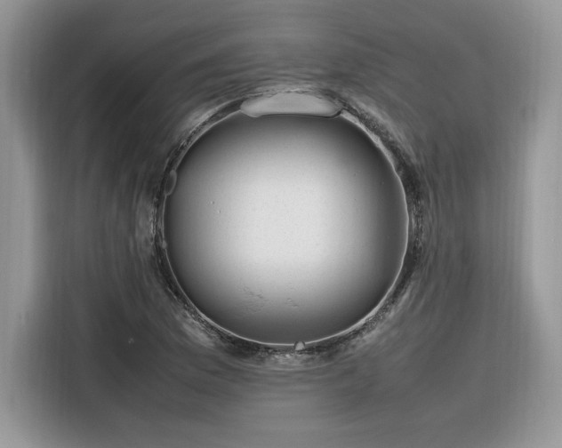 X0000116291169200912071205