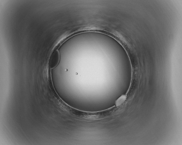 X0000116291173200912071205