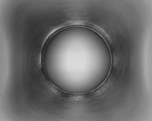 X0000116291174200912071205