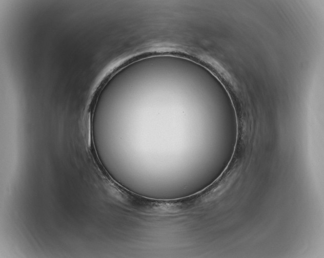 X0000116291175200912071205