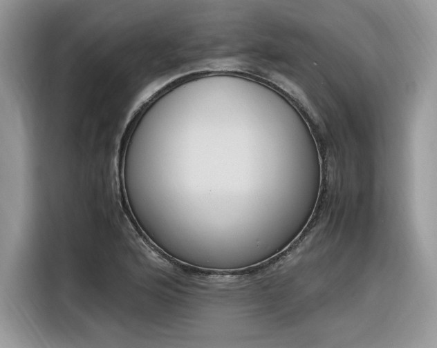 X0000116291176200912071205