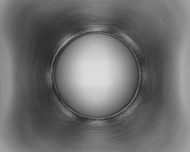 X0000116291178200912071205