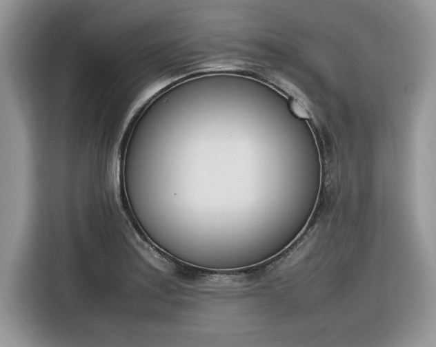 X0000116291179200912071205