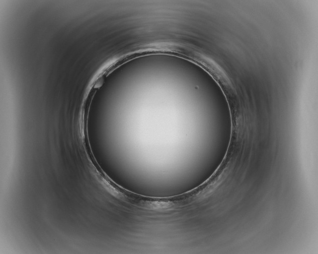 X0000116291180200912071205