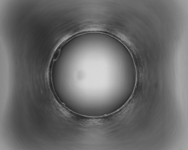 X0000116291181200912071205