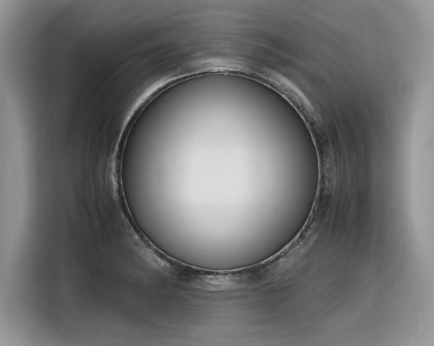 X0000116291182200912071205