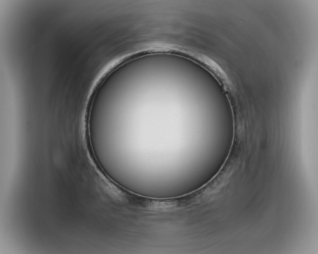 X0000116291183200912071205