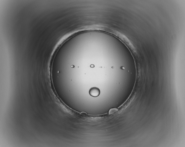 X0000116291184200912071205