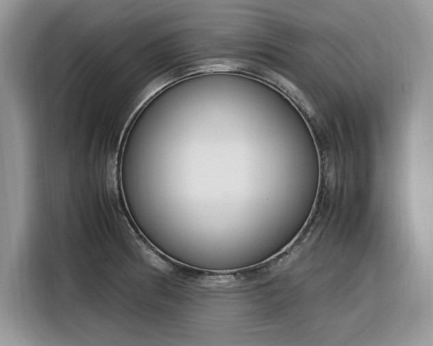 X0000116291186200912071204