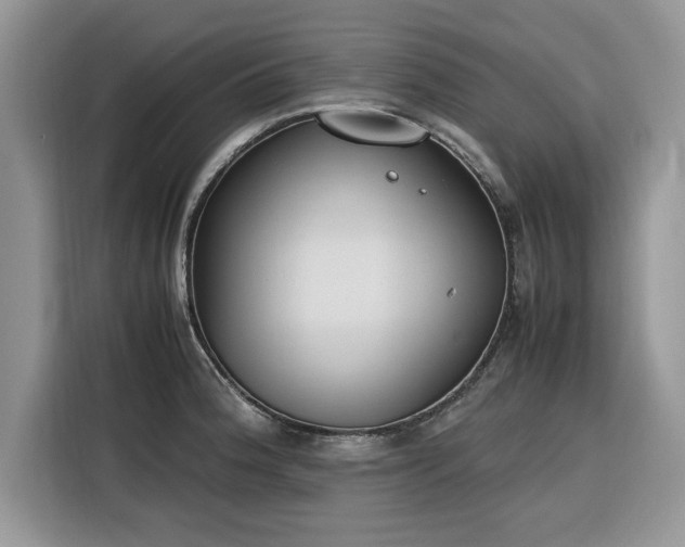 X0000116291188200912071204