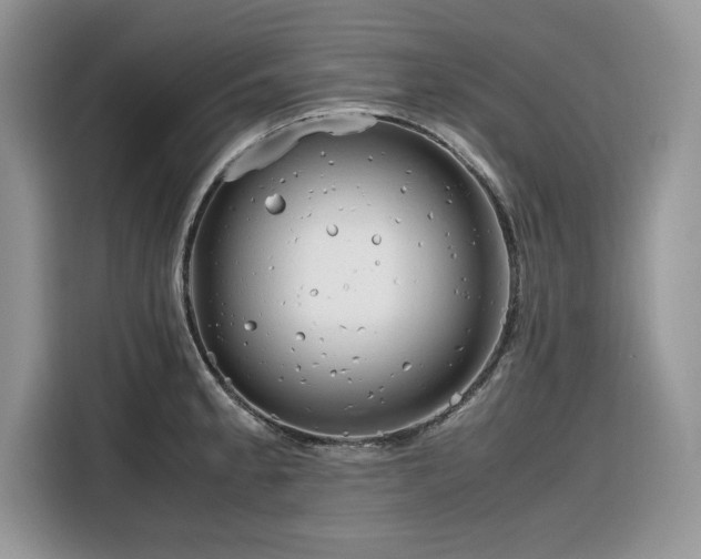 X0000116291189200912071204