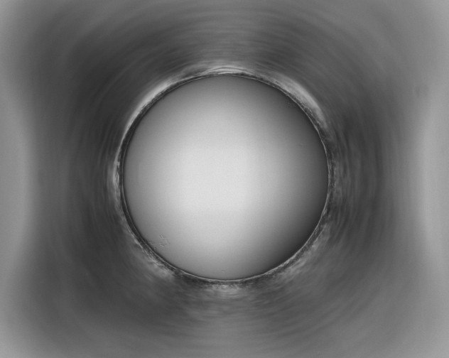 X0000116291190200912071204