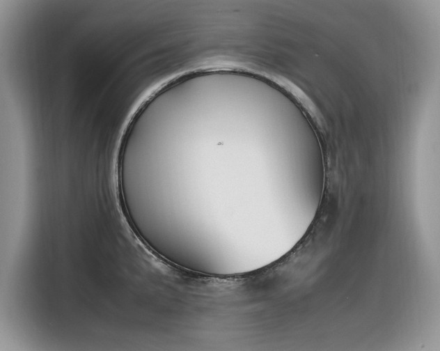 X0000116291191200912071204