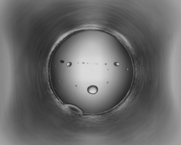 X0000116291192200912071204