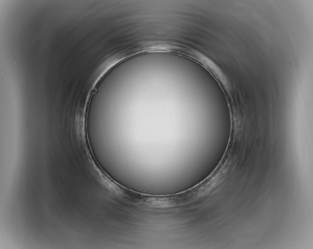 X0000116291194200912071204