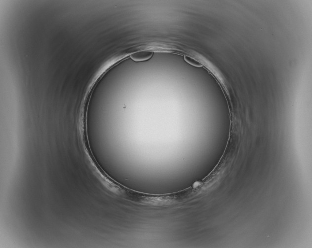 X0000116291195200912071204