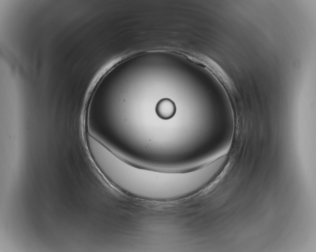 X0000116291196200912071204