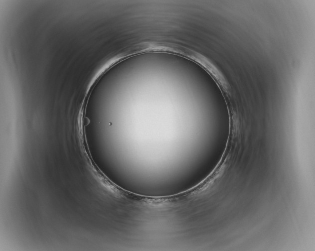 X0000116291198200912071204