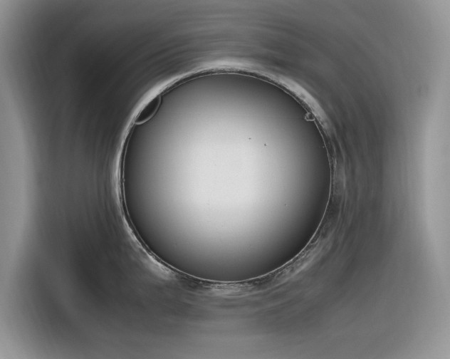 X0000116291199200912071204