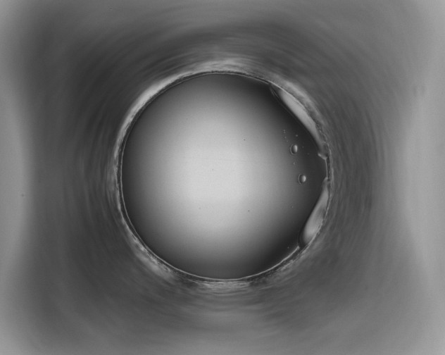 X0000116291200200912071204