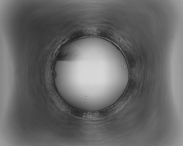 X0000116291201200912071204