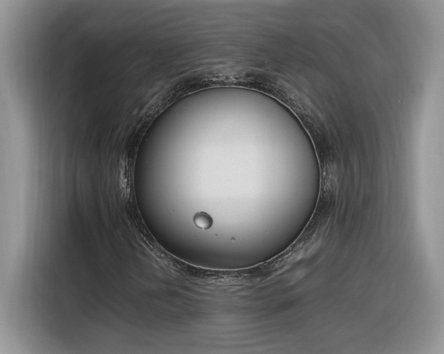 X0000116291202200912071204