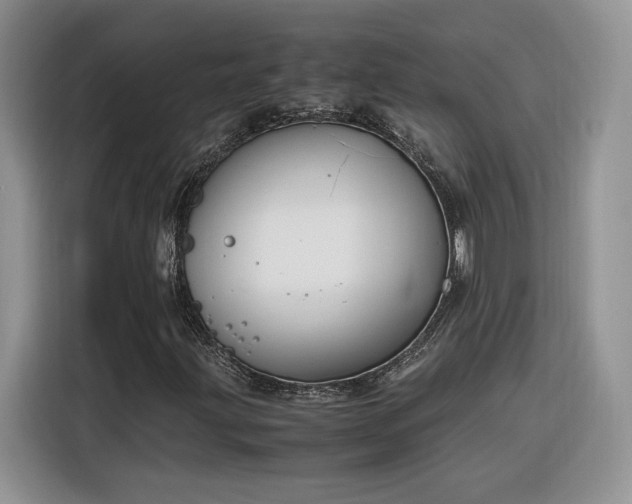 X0000116291203200912071204