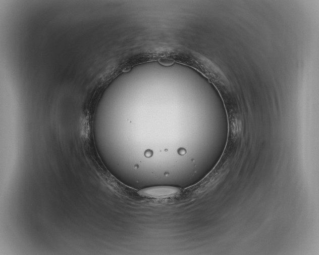 X0000116291204200912071204