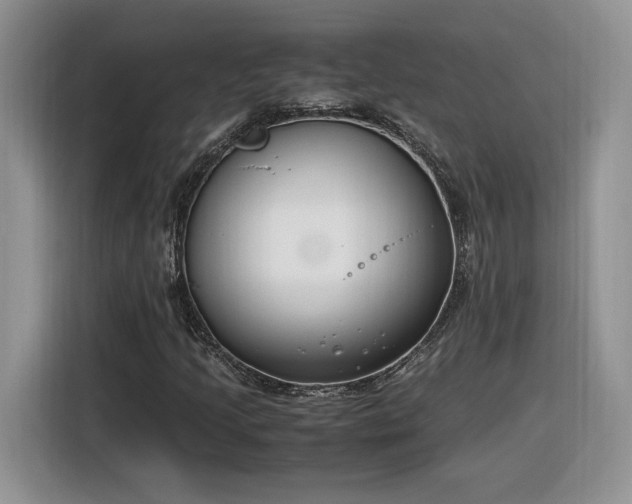 X0000116291205200912071204