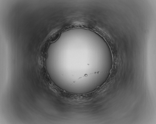 X0000116291207200912071204