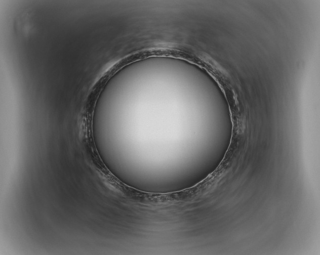 X0000116291208200912071204