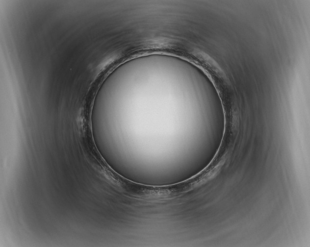 X0000116291210200912071204