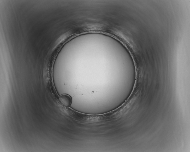 X0000116291211200912071204