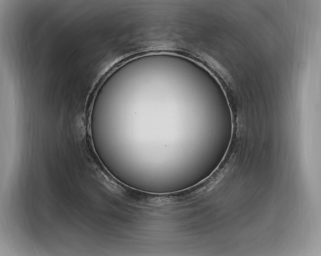 X0000116291212200912071204