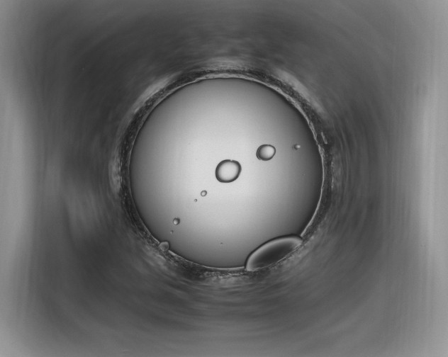 X0000116291213200912071204