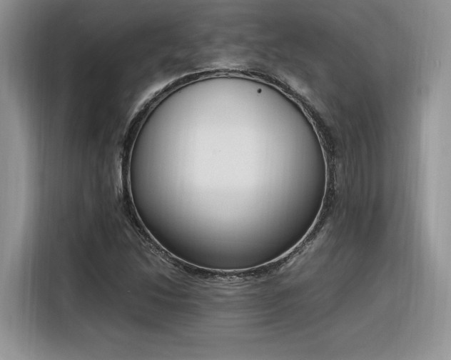 X0000116291214200912071204