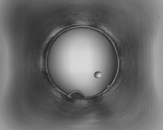 X0000116291215200912071204