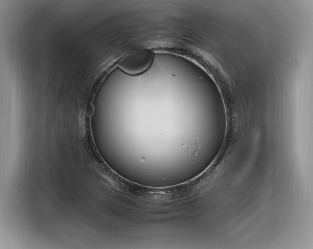 X0000116291217200912071204